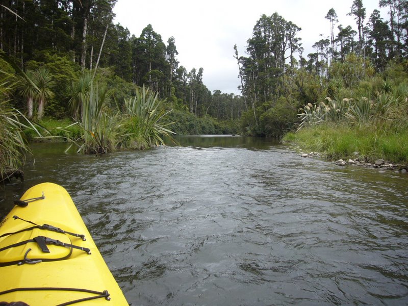 Travel - New Zealand - West Coast - Okarito